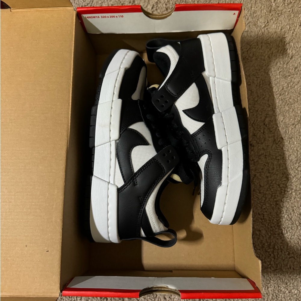 Nike dunks NWB